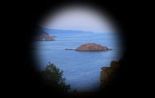 día mundial del glaucoma