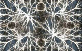 Enfermedades degenerativas del cerebro