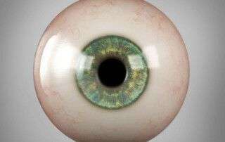 Funcionamiento de la retina