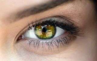 partes del ojo humano