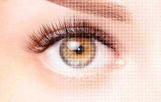 Test de Amsler - Novovisión